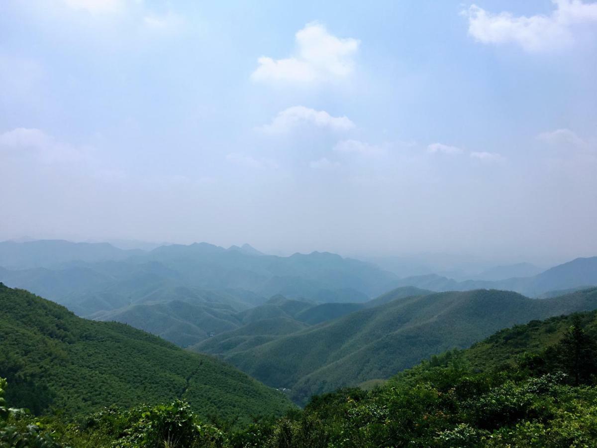Moganshan Bamboo View Guesthouse Deqing Eksteriør bilde